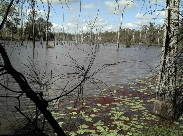 Lot 17 Rices Road, Howard QLD 4659