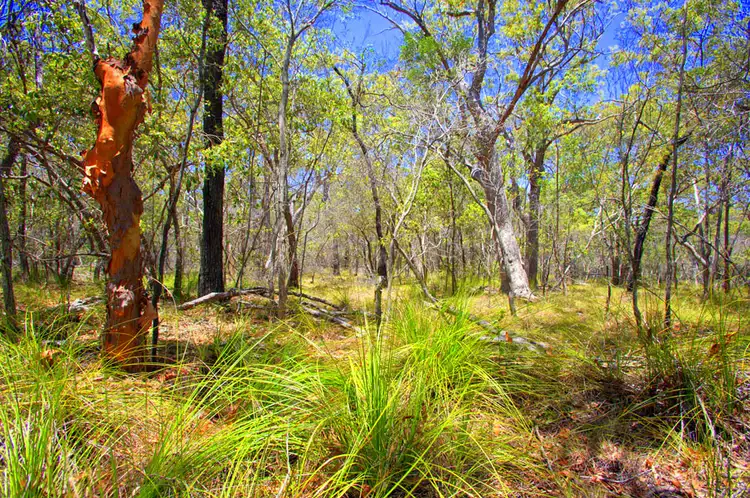 lot 44 Dillon Road, Captain Creek QLD 4677