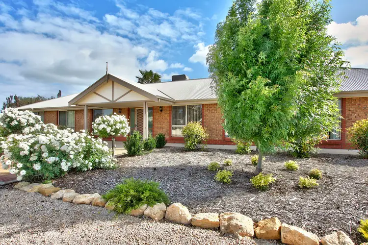 Main view of Homely house listing, 85 Badcoe Rd, Loxton SA 5333