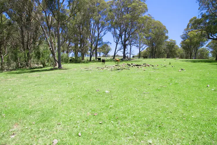 Fifth view of Homely rural property listing, 566 Brentwood Road, Guyra NSW 2365