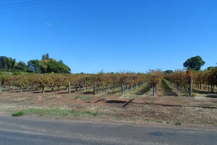 Fourth view of Homely land listing, 1 & 2 Tarcoola Street, Renmark SA 5341