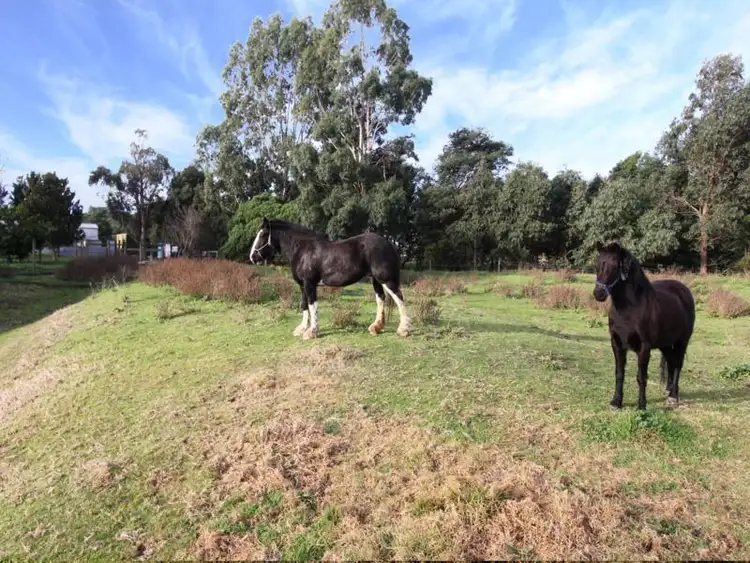 Sixth view of Homely rural property listing, . Traralgon-Maffra Road, Heyfield VIC 3858