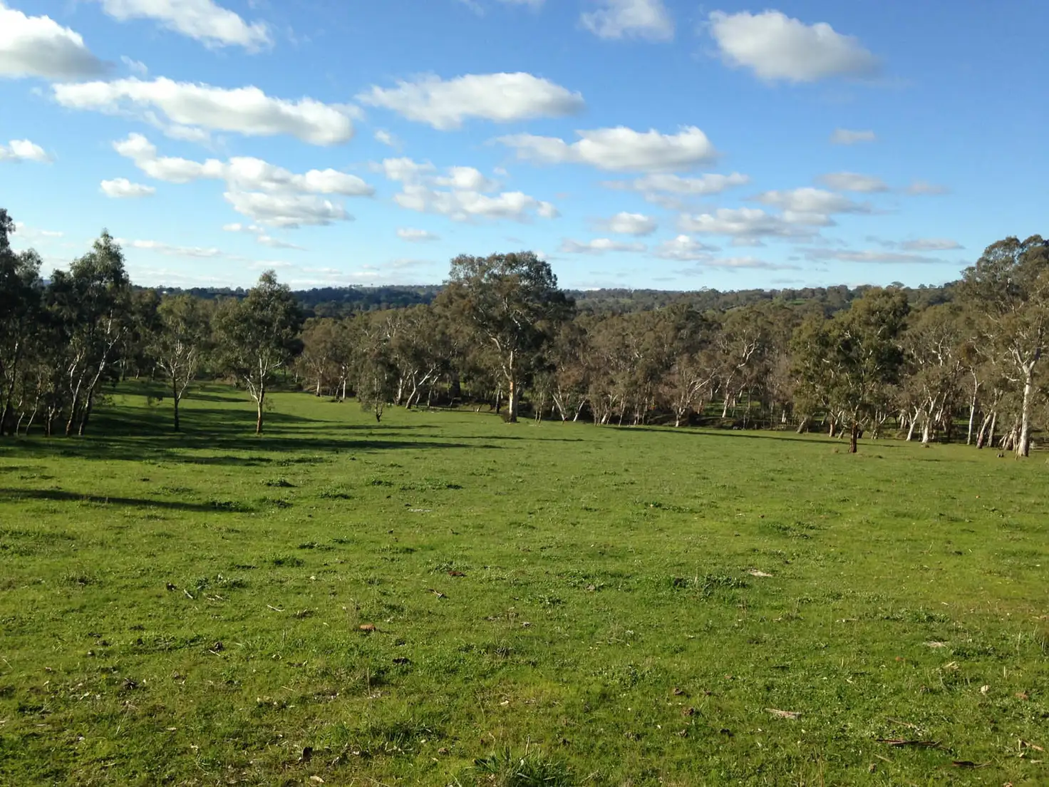 Main view of Homely land listing, 29 Hammer Road, Mount Torrens SA 5244