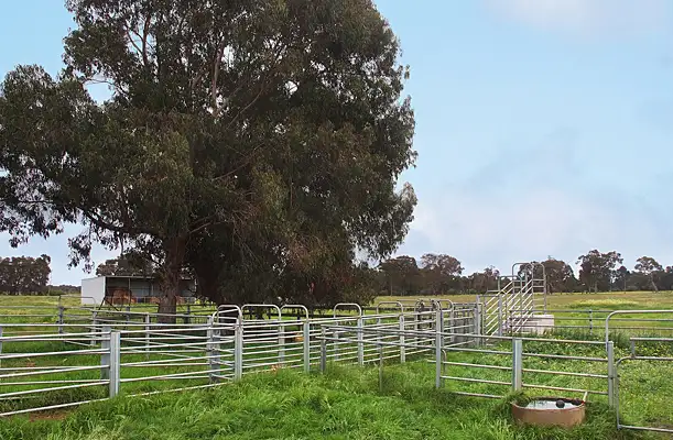 Second view of Homely rural property listing, 839 Kaloorup Road, Jindong WA 6280