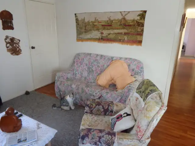 Sixth view of Homely house listing, 9 Annie St, Howard QLD 4659