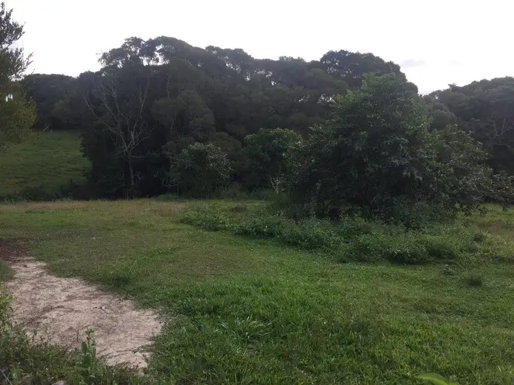 Second view of Homely house listing, 293 Pinnacle Road, Julatten QLD 4871