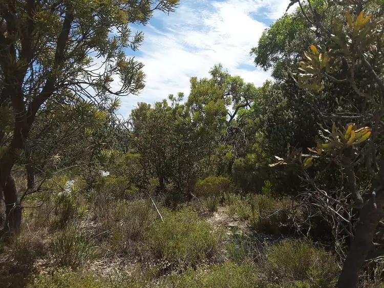 Fourth view of Homely rural property listing, 1350 TEATREE ROAD, Bindoon WA 6502