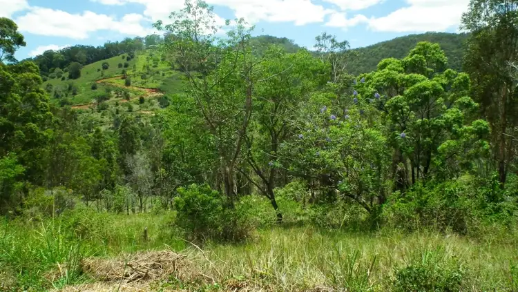 Second view of Homely land listing, 894 Cedar Creek Rd, Gheerulla QLD 4574