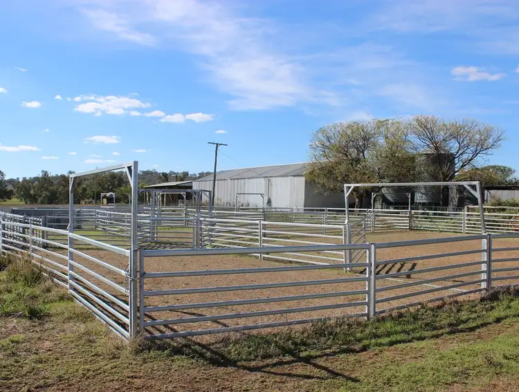Fifth view of Homely rural property listing, 648 River Road, Geurie NSW 2818