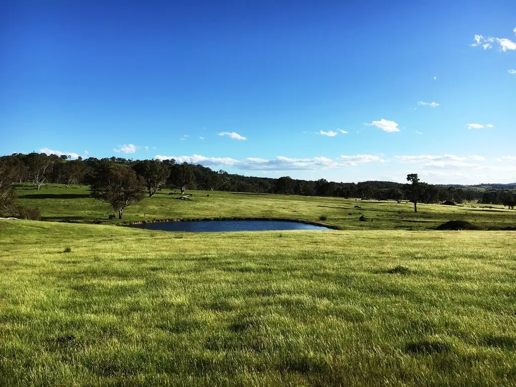 Main view of Homely rural property listing, "Clifton" New England Highway, Bendemeer NSW 2355