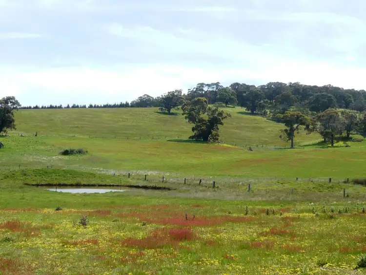 Sixth view of Homely land listing, 0 Wilkinsons Road, Raglan VIC 3373