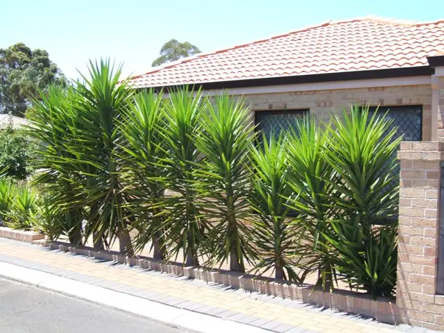 Fifth view of Homely house listing, Unit 15/21 Johnson Street, Manjimup WA 6258