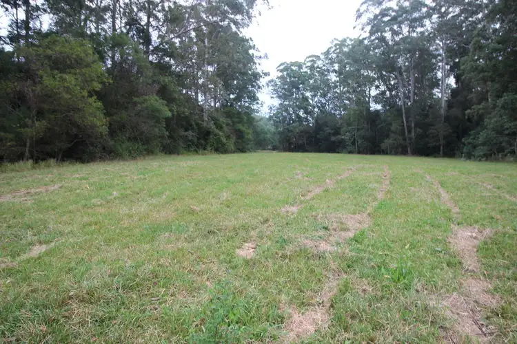 Sixth view of Homely rural property listing, 1176 Bellangry Rd, Bellangry NSW 2446