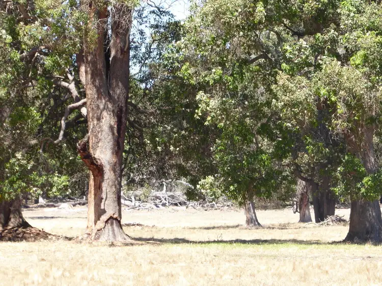 Fourth view of Homely rural property listing, Lot 77 Clarke Road, Elgin WA 6237