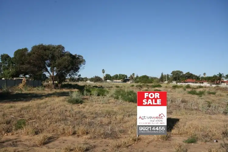 24 Tamblyn Street, Spalding WA 6530