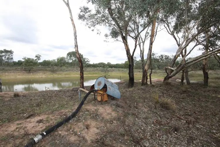 Fifth view of Homely rural property listing, 4725 Obley Road, Dubbo NSW 2830