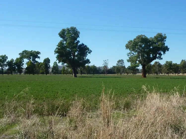 Fifth view of Homely rural property listing, 1528 Sturt Highway, Borambola via, Wagga Wagga NSW 2650
