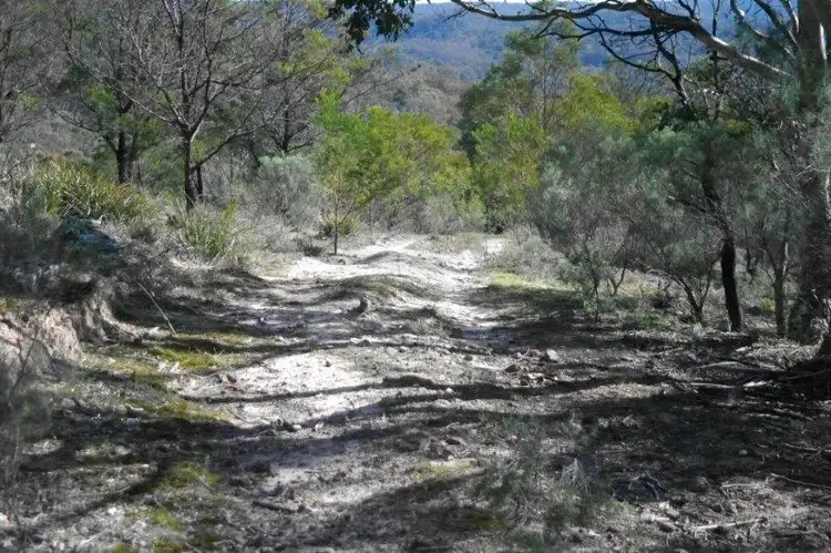 Sixth view of Homely rural property listing, 585 Newfoundland Rd, Taralga NSW 2580