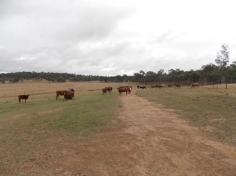 125 Runnymede Estate Road, Runnymede QLD 4615