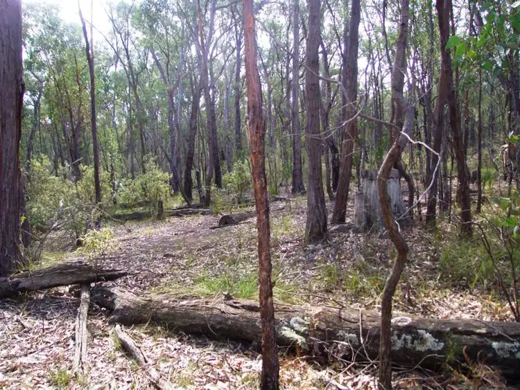 Fifth view of Homely rural property listing, Lot 2 South Gippsland Highway, Woodside VIC 3874