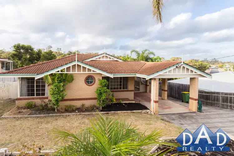 Main view of Homely house listing, 19 Lilly Court, Australind WA 6233