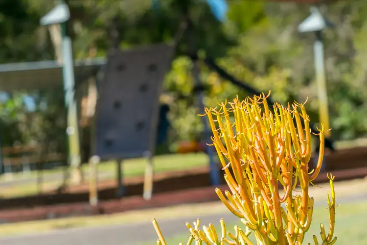 Seventh view of Homely land listing, 5 Seacrest Drive, Wondunna QLD 4655