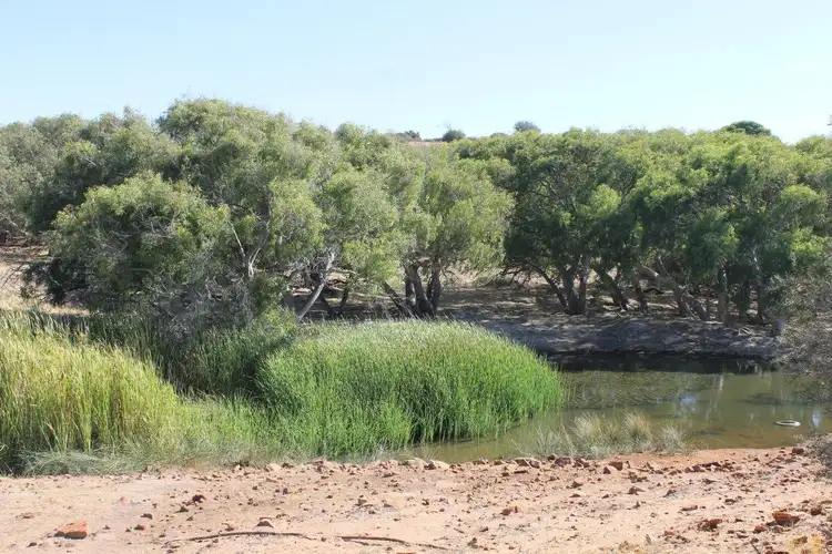 Sixth view of Homely rural property listing, Lot 25 Willigulli Road, Sandy Gully WA 6535