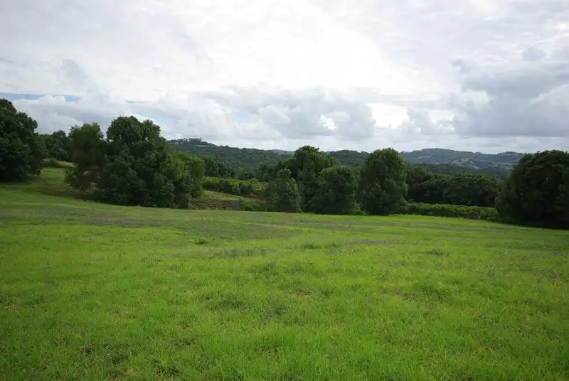 Main view of Homely rural property listing, 514 Rosebank Road, Rosebank NSW 2480