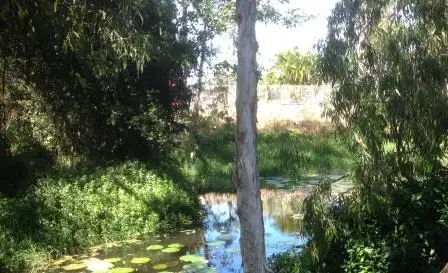 Main view of Homely house listing, 4 Howitson Drive, Balgal Beach QLD 4816