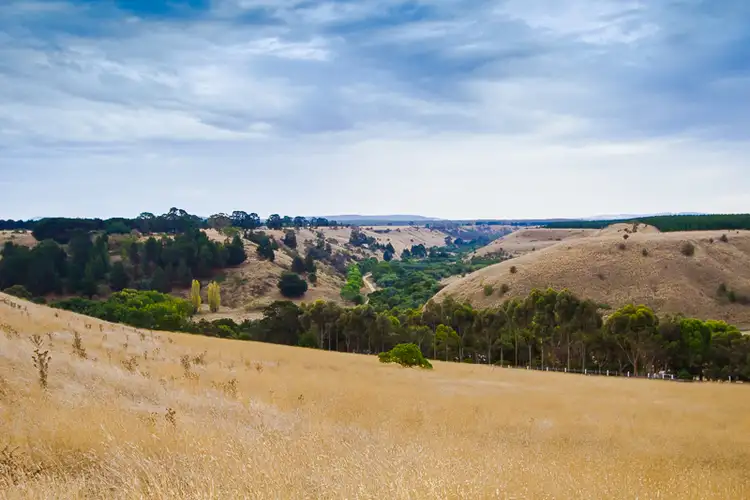 Third view of Homely house listing, 119 Dollys Creek Road, Beremboke VIC 3334