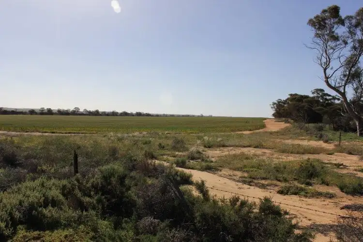 Fifth view of Homely rural property listing, Lot 16651 Korbrelkulling Road, Merredin WA 6415