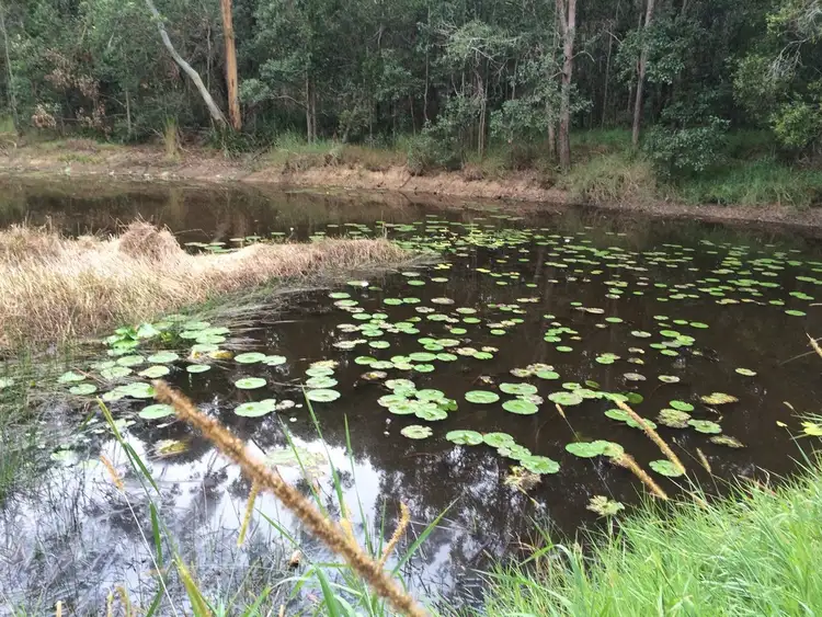 Second view of Homely land listing, 889 Traveston Cooran Road, Cooran QLD 4569