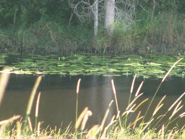 Second view of Homely land listing, 59 Driers Road, Cooran QLD 4569