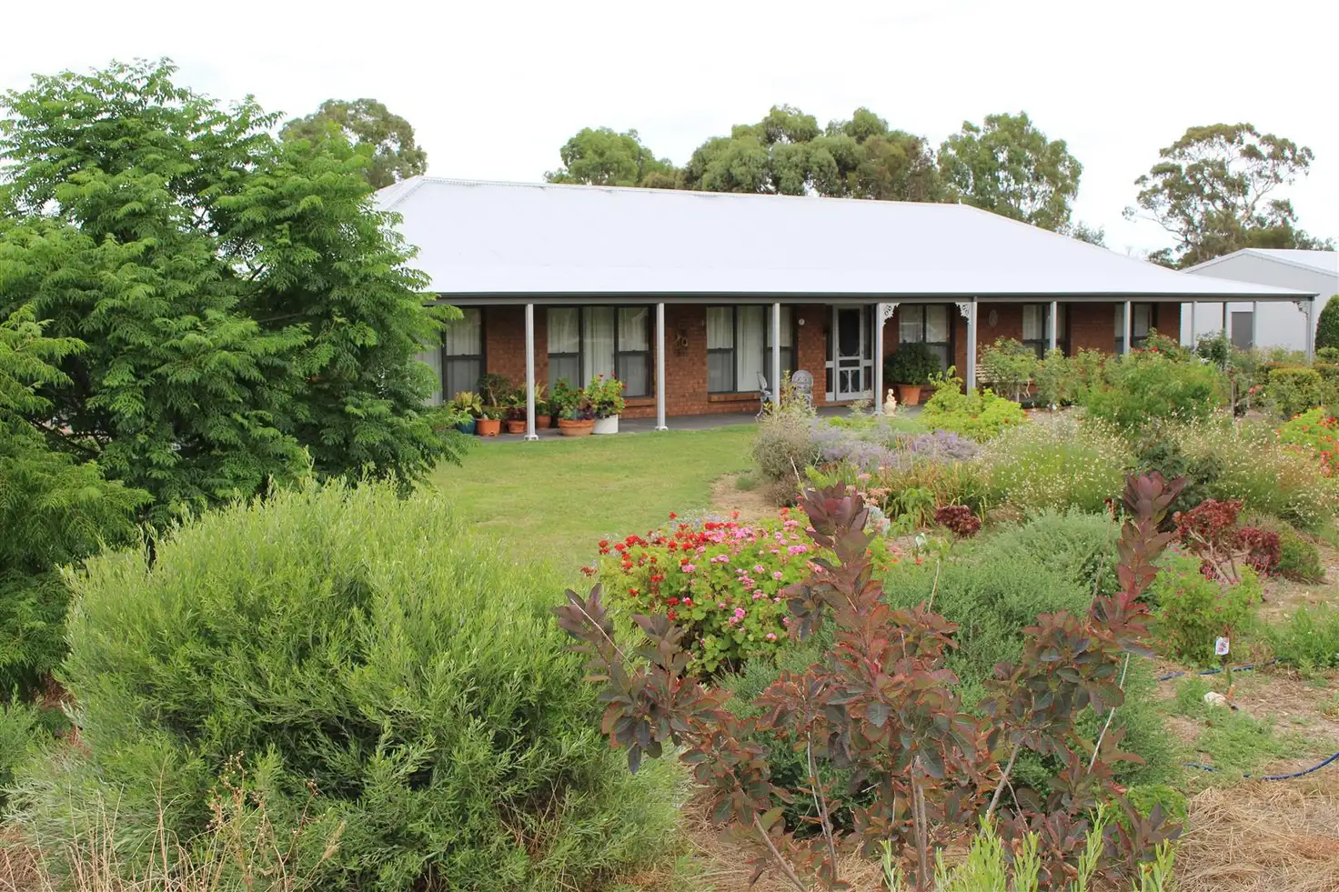 Main view of Homely house listing, 121 Ramsay Terrace, Bordertown SA 5268