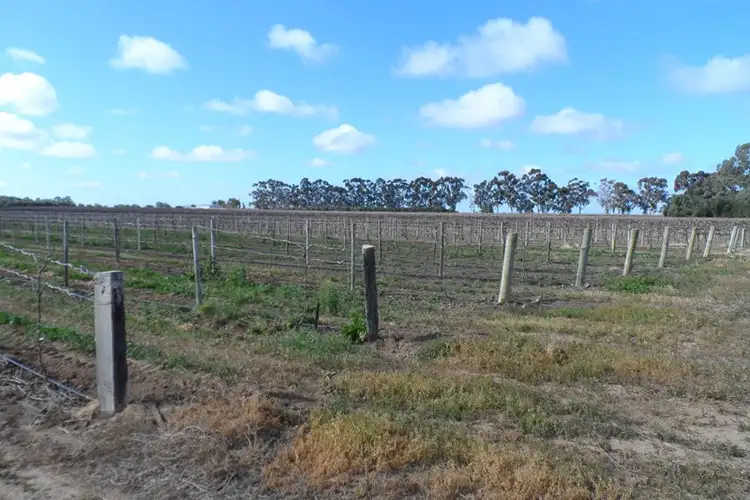 Third view of Homely land listing, Lot 101 Darling Street, Renmark SA 5341
