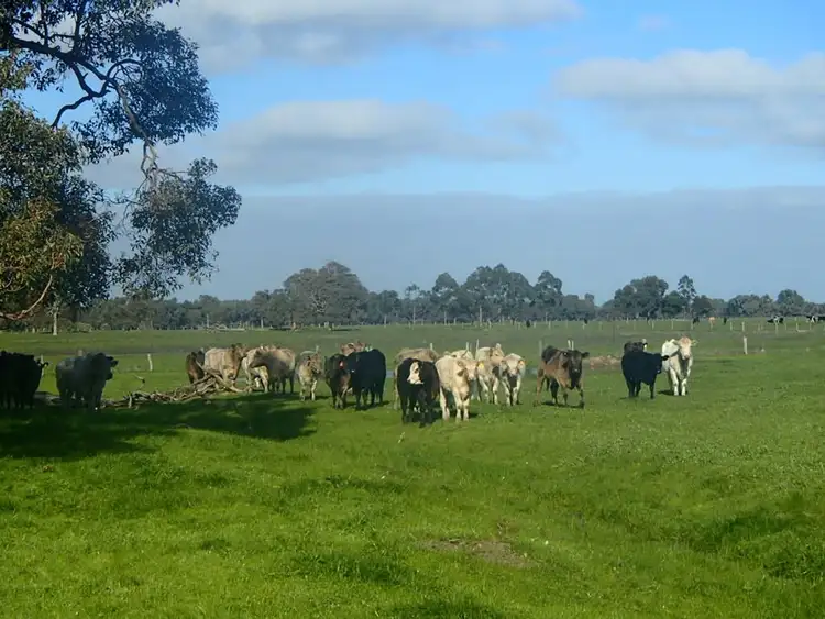 Seventh view of Homely rural property listing, 141 Keane Road, Coolup WA 6214