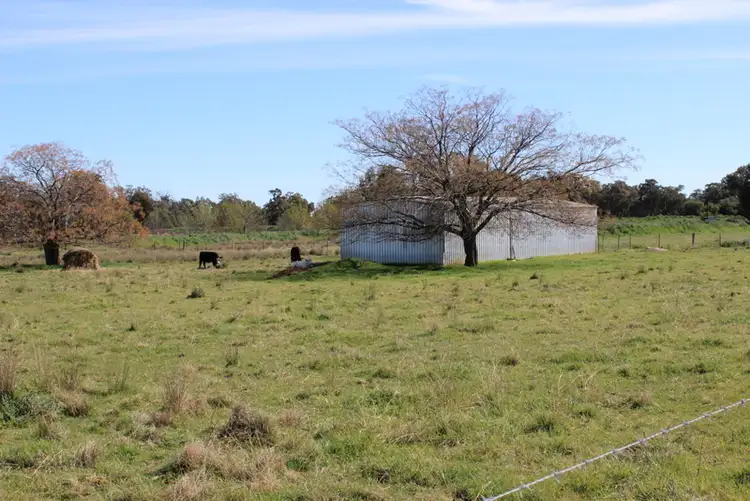 Third view of Homely house listing, Lot 1039 Trungly Hall Road, Temora NSW 2666