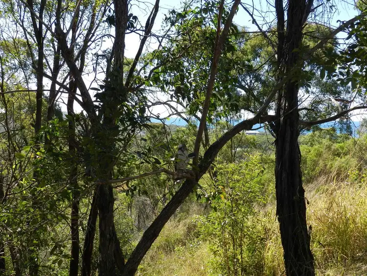 Sixth view of Homely land listing, 18 The Crescent, Agnes Water QLD 4677