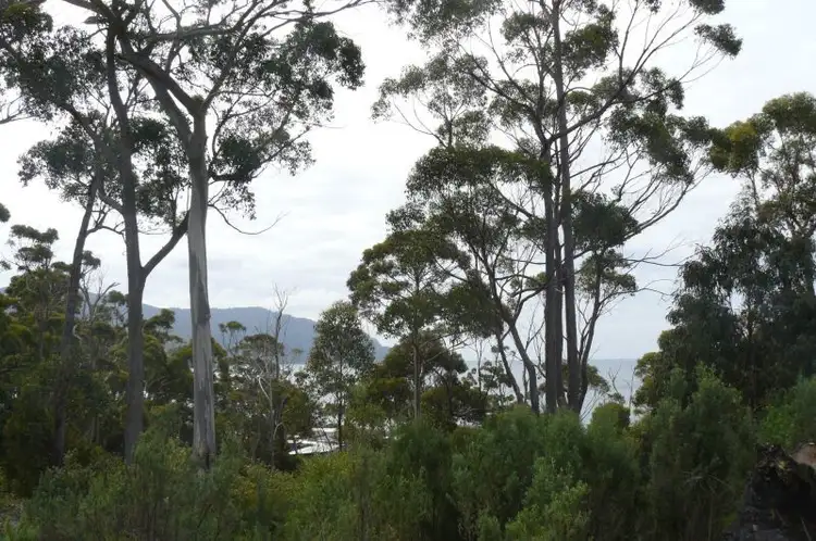 Second view of Homely land listing, 14 Richardsons Drive, Eaglehawk Neck TAS 7179