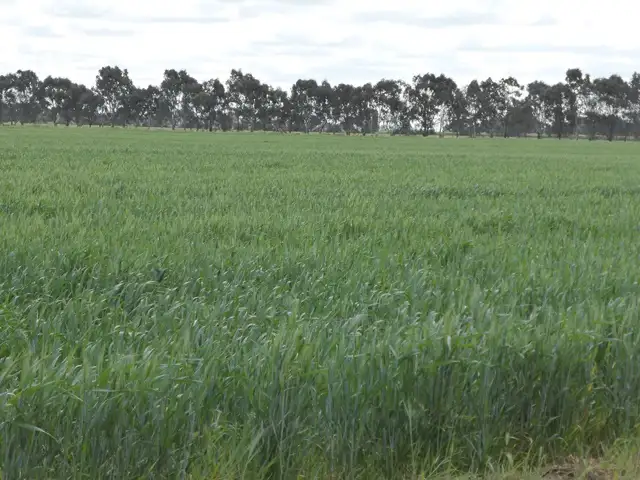 Fourth view of Homely rural property listing, | Kweong |, Finley NSW 2713