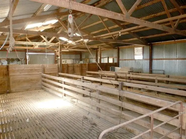 Fifth view of Homely rural property listing, 146 Pascoe Road, Coonalpyn SA 5265