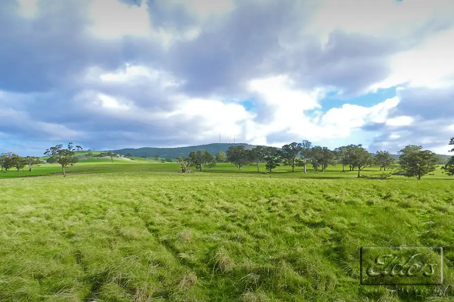 Main view of Homely land listing, 1445 Bendigo-Sutton Grange Road, Sutton Grange VIC 3448