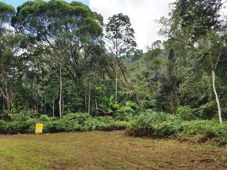 Fifth view of Homely land listing, 11 Thornton Peak Drive, Daintree QLD 4873