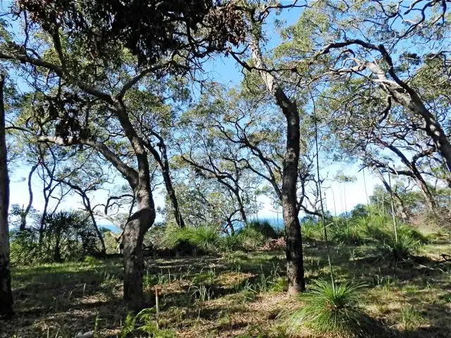 Second view of Homely land listing, Lot 48 Bloodwood Ave Sth Sunrise, Agnes Water QLD 4677