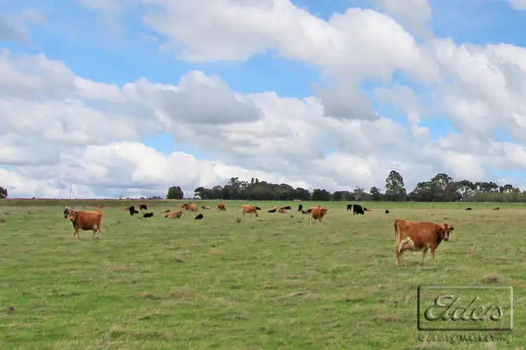 607 Loddon Valley Highway, Durham Ox VIC 3576