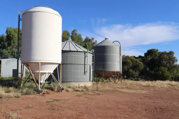 Seventh view of Homely rural property listing, Wildwood Salters Lane, Ardlethan NSW 2665