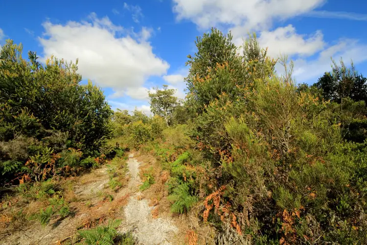Seventh view of Homely land listing, 1132 North Ansons Road, Ansons Bay TAS 7264