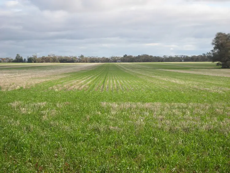 Sixth view of Homely rural property listing, "Flynns" and "Fork Log", Goolgowi NSW 2652
