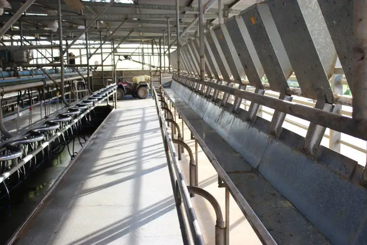 Fifth view of Homely rural property listing, 24610 Bass Highway, Brittons Swamp TAS 7330