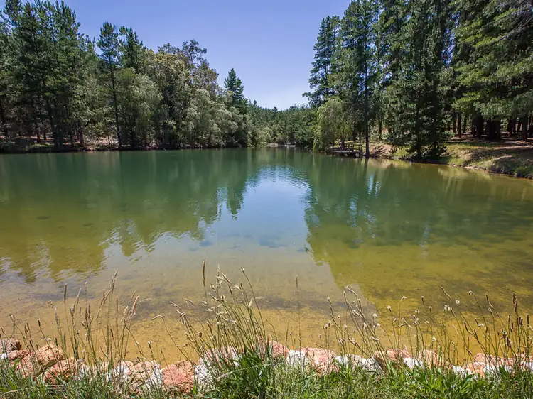 Main view of Homely rural property listing, 136 Preston Rd, Thomson Brook WA 6239